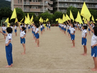 体育