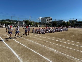 6年