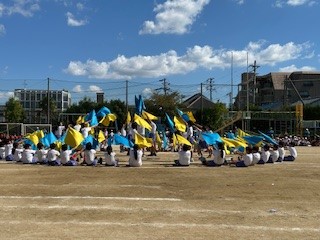 6年