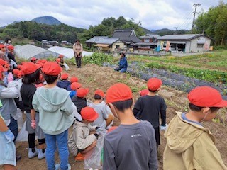 3年