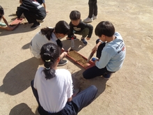 5年生