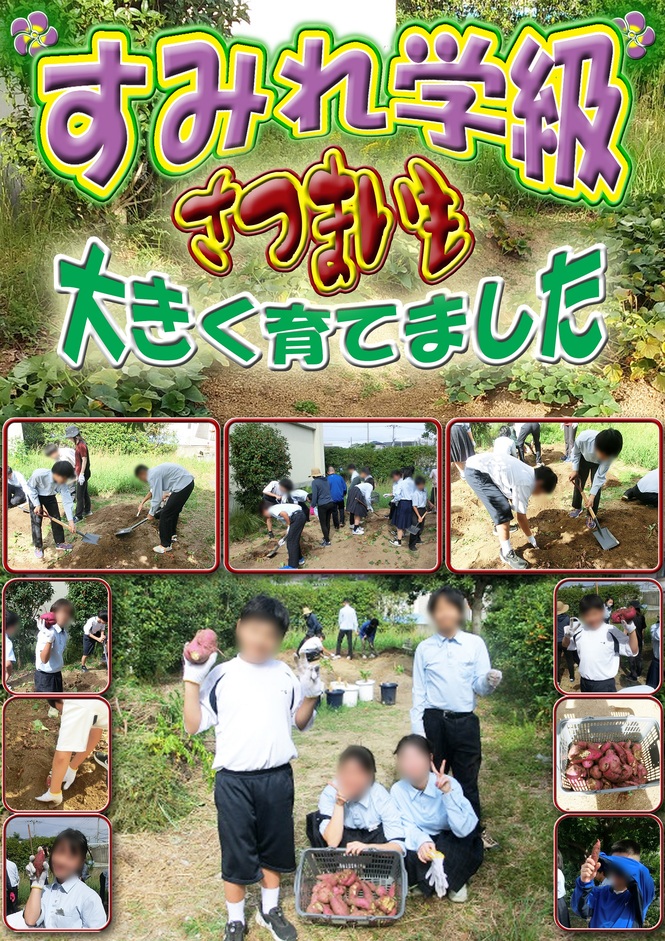 すみれ　いもほり