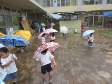 雨