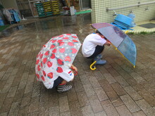 雨