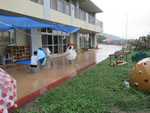 雨