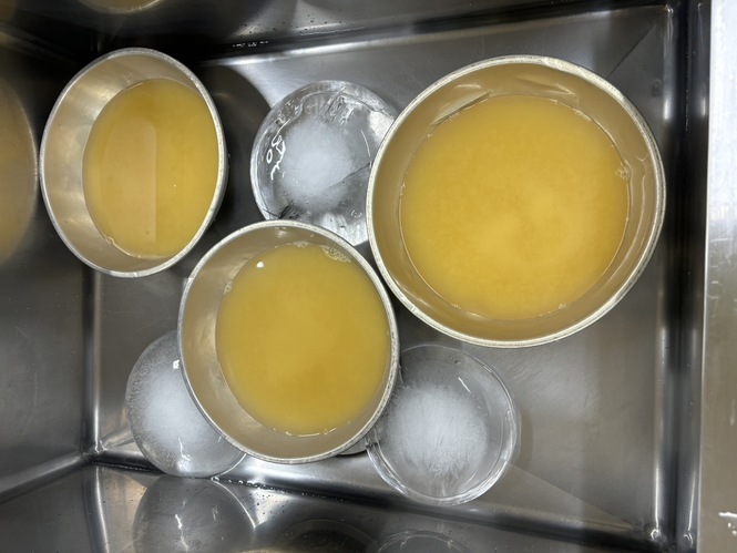 給食