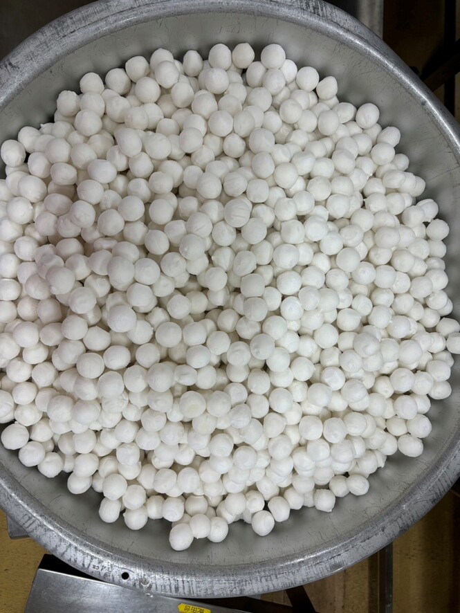 給食
