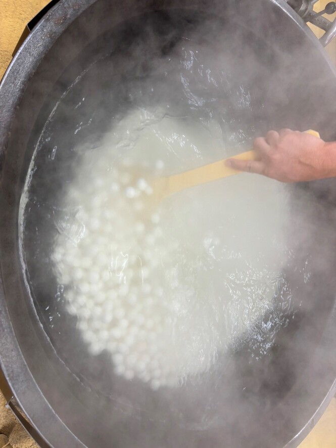給食