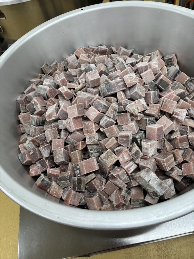 給食