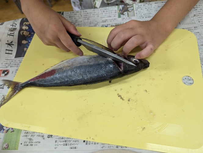 授業