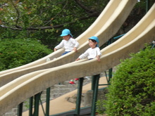 公園