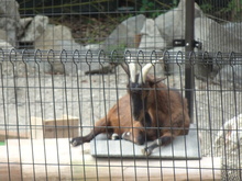 公園