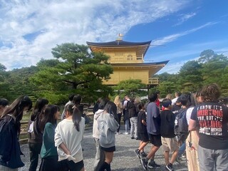 6年