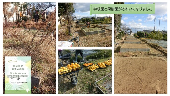きれいになった学級園と果樹園