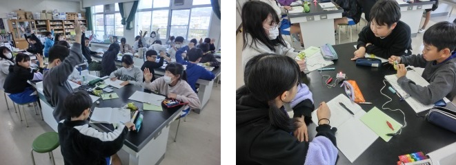 理科