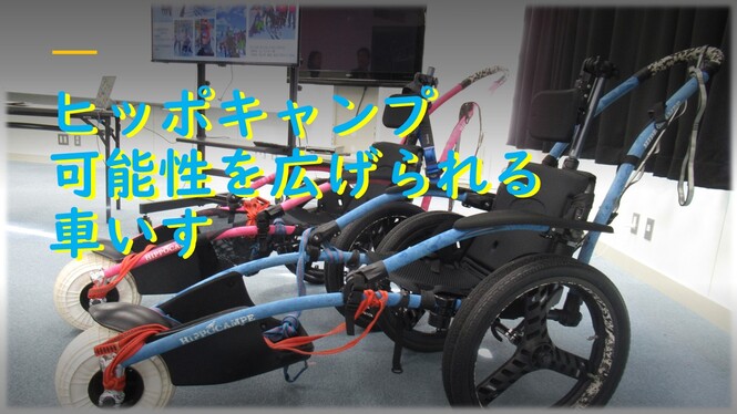 4年生