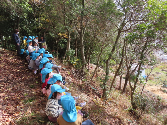お山1