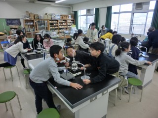 理科