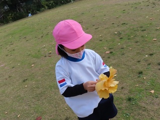 イチョウで遊んでいる子どもたちの写真