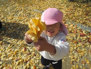 イチョウで遊んでいる子どもたちの写真