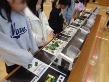 体験学習