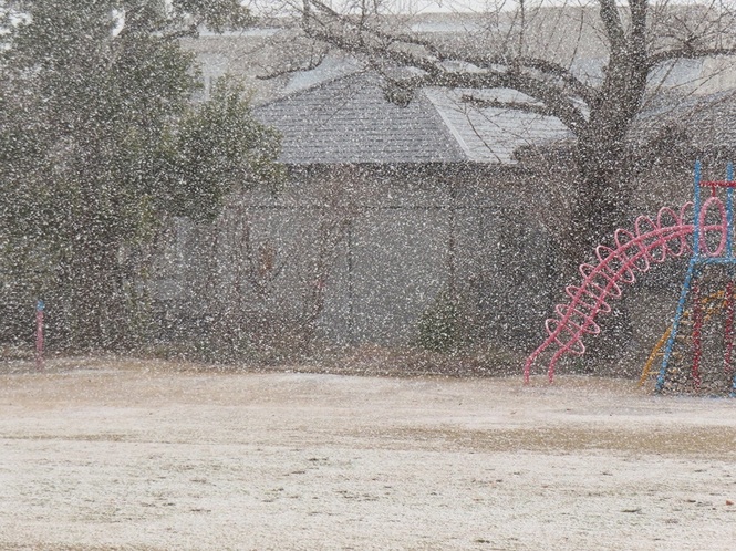 雪が降っている園庭の写真