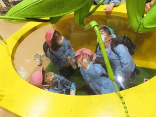 お別れ遠足に出かけている子どもたちの写真