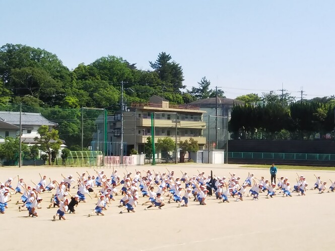 5学年