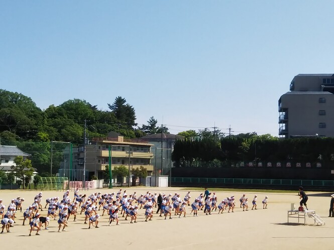 5学年