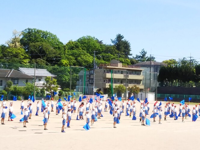 6年生