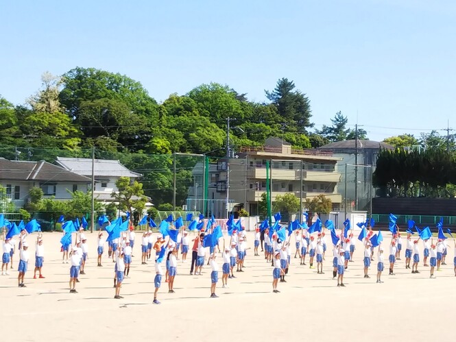 6年