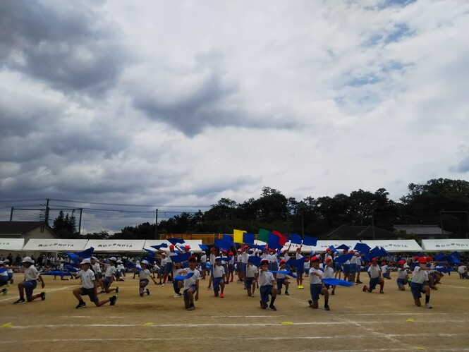 6年