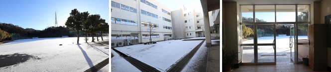 寒波来る