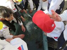 氷
