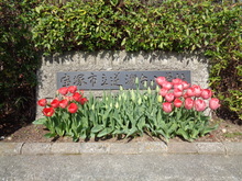 学校