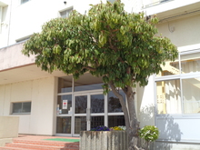 学校