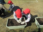 いつ芽が出てくるかな？