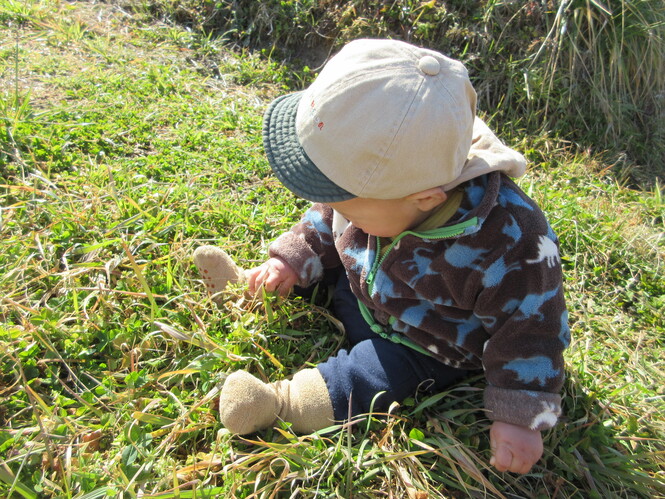 お散歩デビュー0歳児