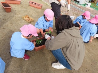 お花を植えている子どもたちの写真
