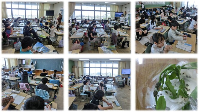 3年生の学習の様子