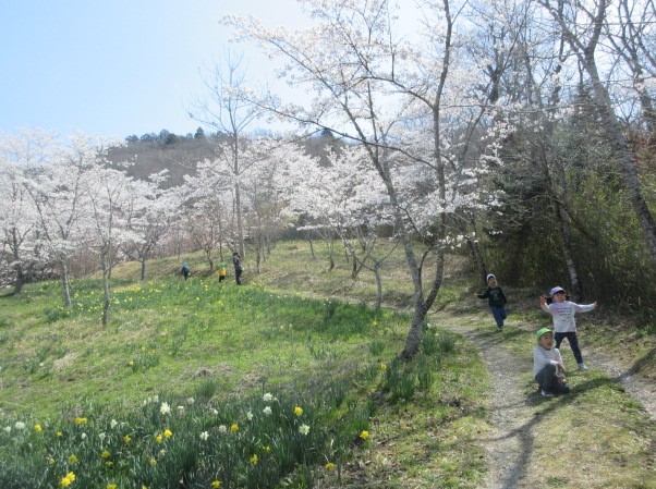 ごろく山里