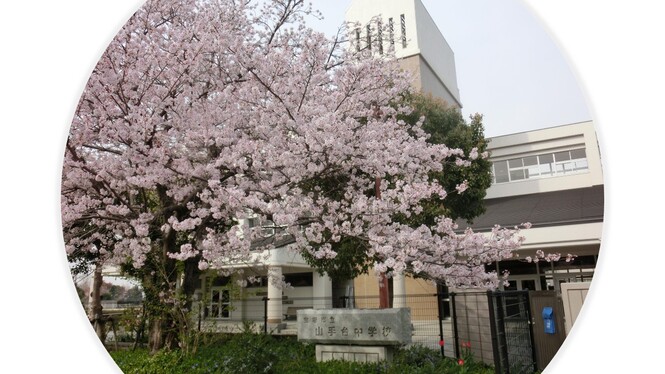 桜と校舎