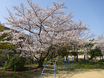 園庭