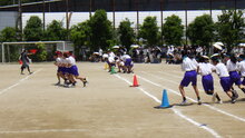 25060612