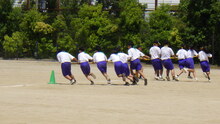 25060623