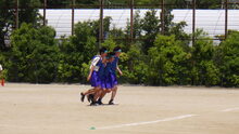 25060621