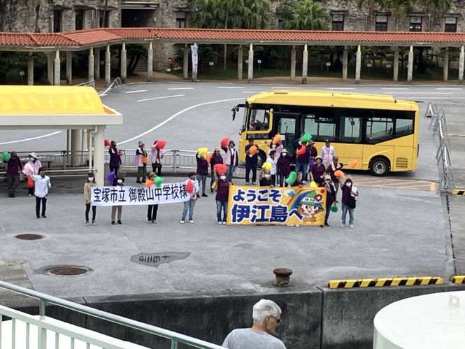 2syu219