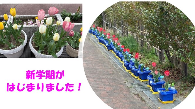 新学期が始まりました