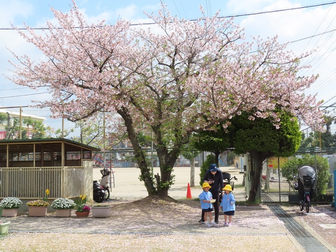 園庭で遊ぶ子どもたちの写真
