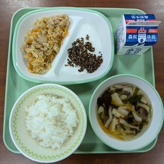 給食